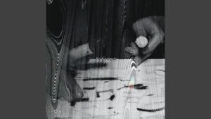 ¡Descubre todo sobre los servicios notariales en Torelló! notari-torello